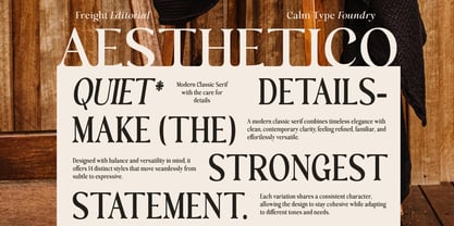 Freight Editorial Font Poster 3