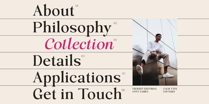 Freight Editorial Font Poster 4