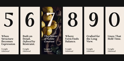 Freight Editorial Font Poster 5