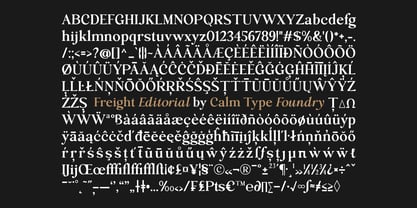 Freight Editorial Font Poster 12