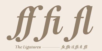 Freight Editorial Font Poster 10
