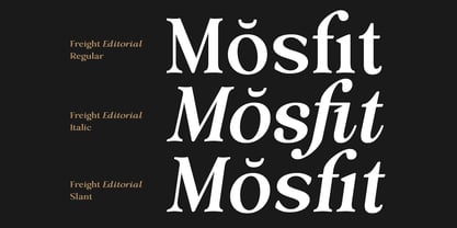 Freight Editorial Font Poster 13