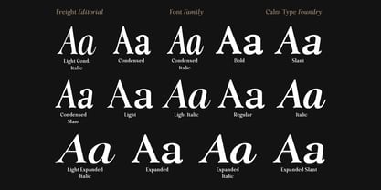 Freight Editorial Font Poster 9