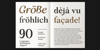 Freight Editorial Font Poster 15