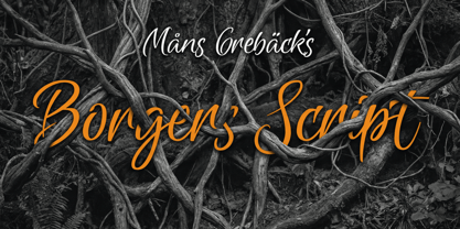 Borgers Script Font Poster 1