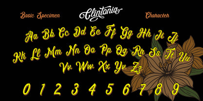 Clintonia Font Poster 7