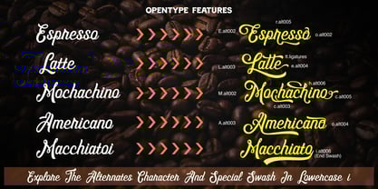 Clintonia Font Poster 8