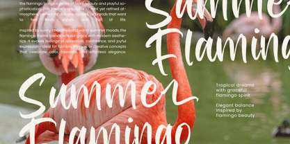 Redfish Grouper Font Poster 11