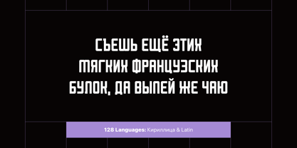 Reigner Font Poster 13