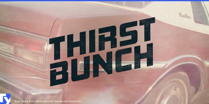 Hemi Head Font Poster 6