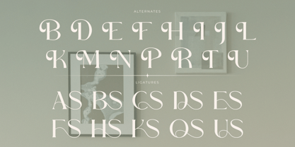 Becaose Font Poster 8