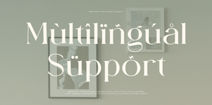 Becaose Font Poster 10