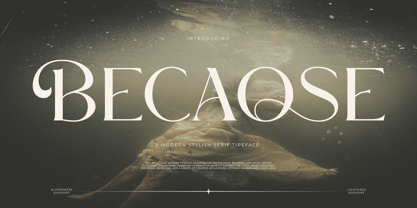 Becaose Font Poster 1