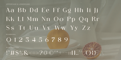 Becaose Font Poster 9