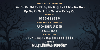 Funtasi Lear Font Poster 10