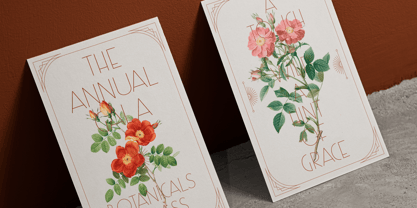 IT Delvion Font Poster 8