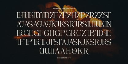 Hesay Verso Font Poster 12