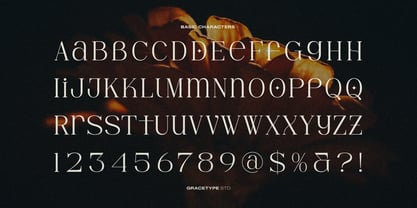 Hesay Verso Font Poster 10