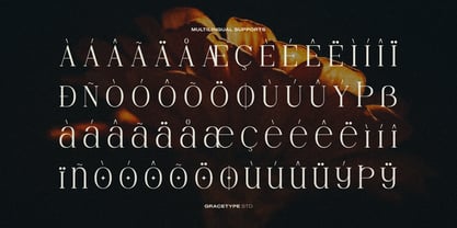 Hesay Verso Font Poster 11