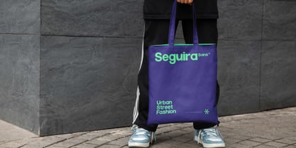 Seguira Sans Font Poster 7