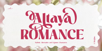 Altaya Romance Font Poster 1