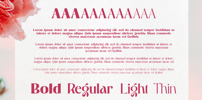 Altaya Romance Font Poster 2
