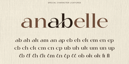 Sofilera Font Poster 11