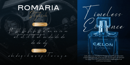 Romaria Stylish Font Poster 8