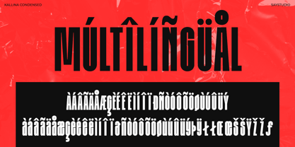 Kallina Condensed Font Poster 12