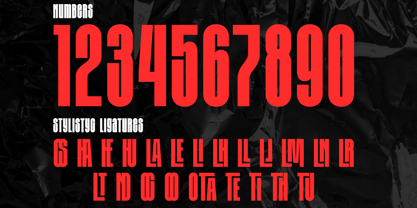 Kallina Condensed Font Poster 11