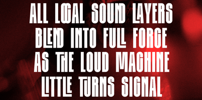 Kallina Condensed Font Poster 6