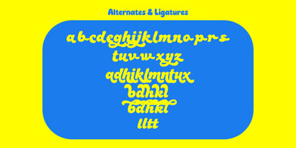 RT Chonzo Font Poster 9