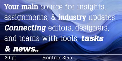 Montrex Slab Font Poster 8