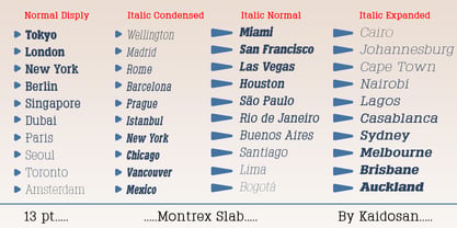 Montrex Slab Font Poster 10
