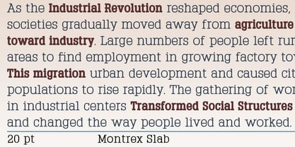 Montrex Slab Font Poster 6