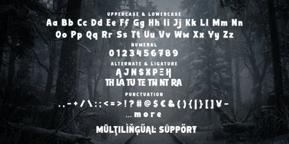 Exile Teils Font Poster 10