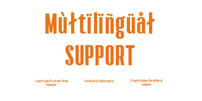 Dalnarow Font Poster 5