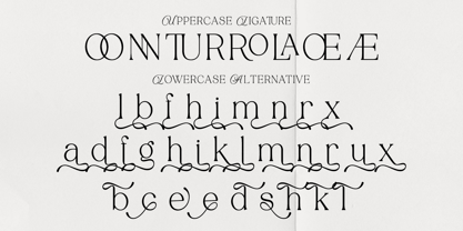 Tenopate Font Poster 5