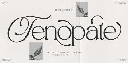 Tenopate Font Poster 1