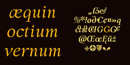 Forint Font Poster 4