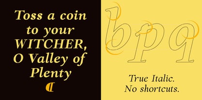 Forint Font Poster 5