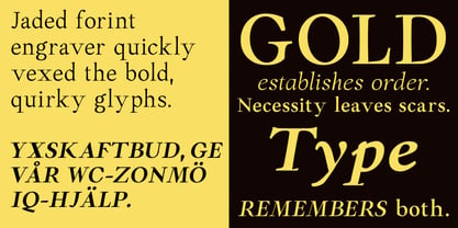 Forint Font Poster 3