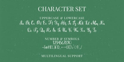 Merelya Font Poster 9