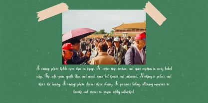 Merelya Font Poster 6