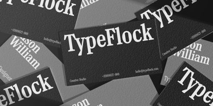 TF Mighu Slab Variable Font Poster 8