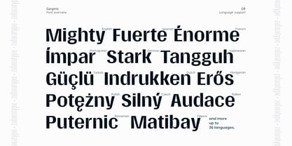 Gargenic Font Poster 9