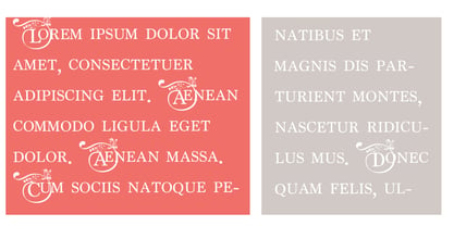 ZP Passionate Monogram Font Poster 4