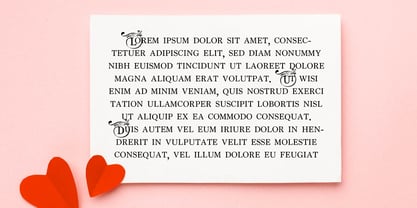 ZP Passionate Monogram Font Poster 3