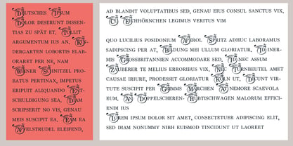 ZP Passionate Monogram Font Poster 7