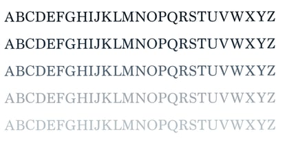ZP Passionate Monogram Font Poster 5